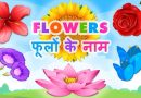 List of Flowers name in Hindi and english | Flowers name in Hindi (फूलों के नाम) List of Flowers name in Hindi and english | Flowers name in Hindi (फूलों के नाम)