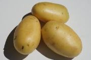 potato | Vegetable name in English-Hindi 