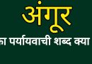 अंगूर का पर्यायवाची | Angoor ka Paryayvachi Shabd in Hindi अंगूर का पर्यायवाची | Angoor ka Paryayvachi Shabd in Hindi