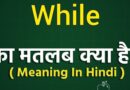 While Meaning in Hindi